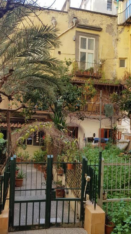 Apartment Da Ninetta Resterete Senza Parole, Garantito!